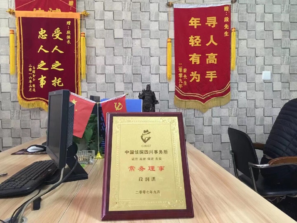成都财产调查